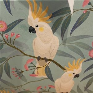 Meet your Posher, Cathy